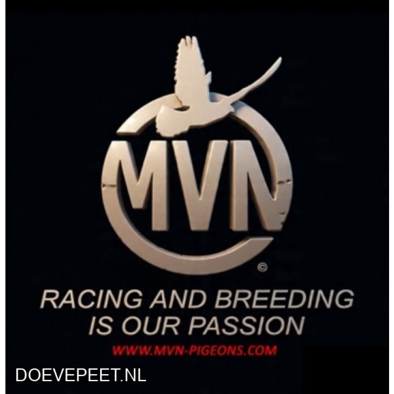 DMP Bon 93 Marc van Nunen (D) – Geldern