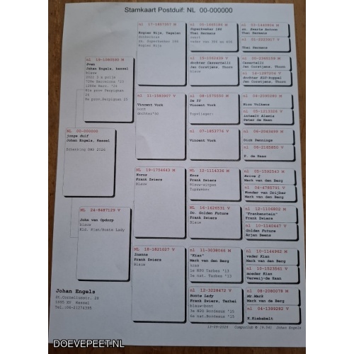 DMP Bon 95 Johan Engels – Kessel – Jonge duif