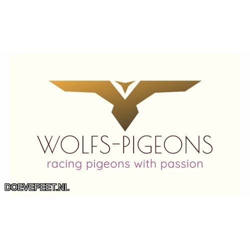 DMP Bon 97 Maurice Wolfs/Wolfs PIgeons – Schinnen - een jonge duif 2027 - 2e ronde