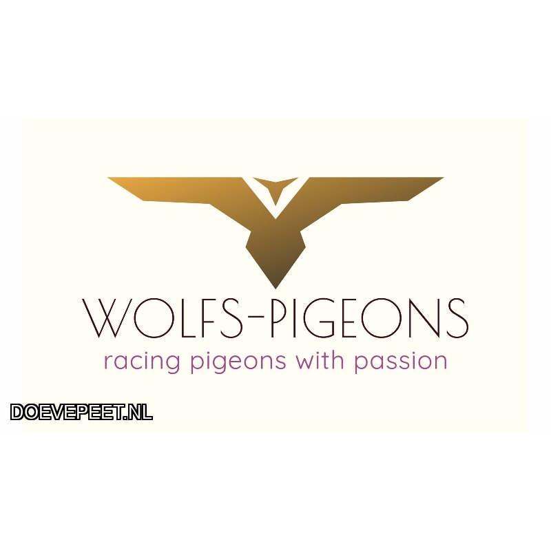DMP Bon 97 Maurice Wolfs/Wolfs PIgeons – Schinnen - een jonge duif 2027 - 2e ronde