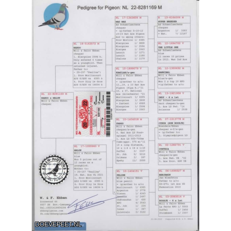 DMP Bon 97 Maurice Wolfs/Wolfs PIgeons – Schinnen - een jonge duif 2027 - 2e ronde