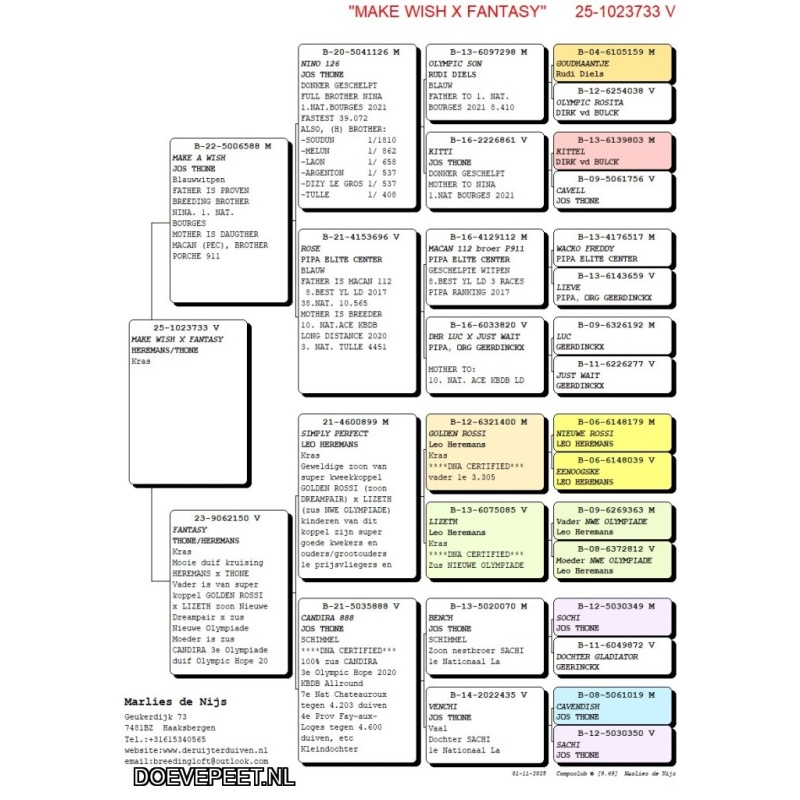 NG LOT 9 NINA EN CANDIRA JOS THONE