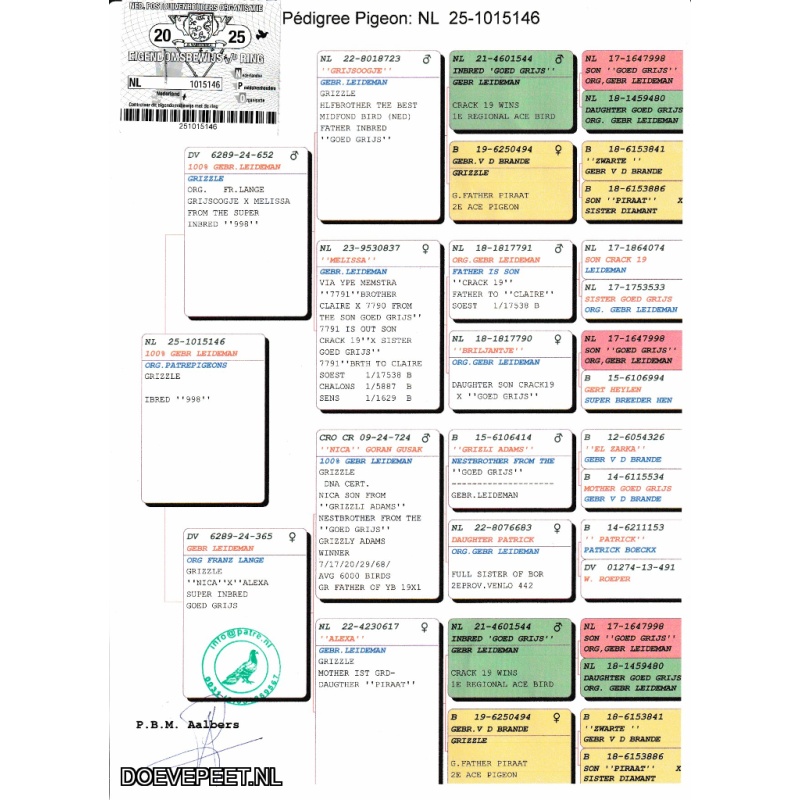 DMP Bon 9 Patre pigeons ( Paul Aalbers) - Denekamp – Een schimmel Leideman duif