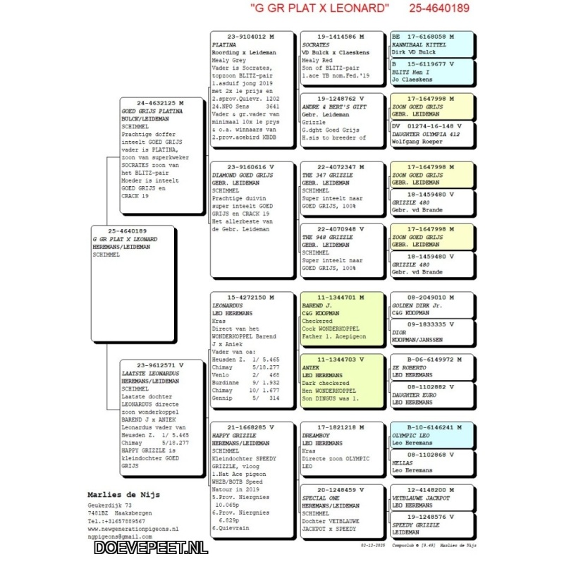NG LOT 10 – Maarten Hakvoort, Albert Roording en Leo Heremans