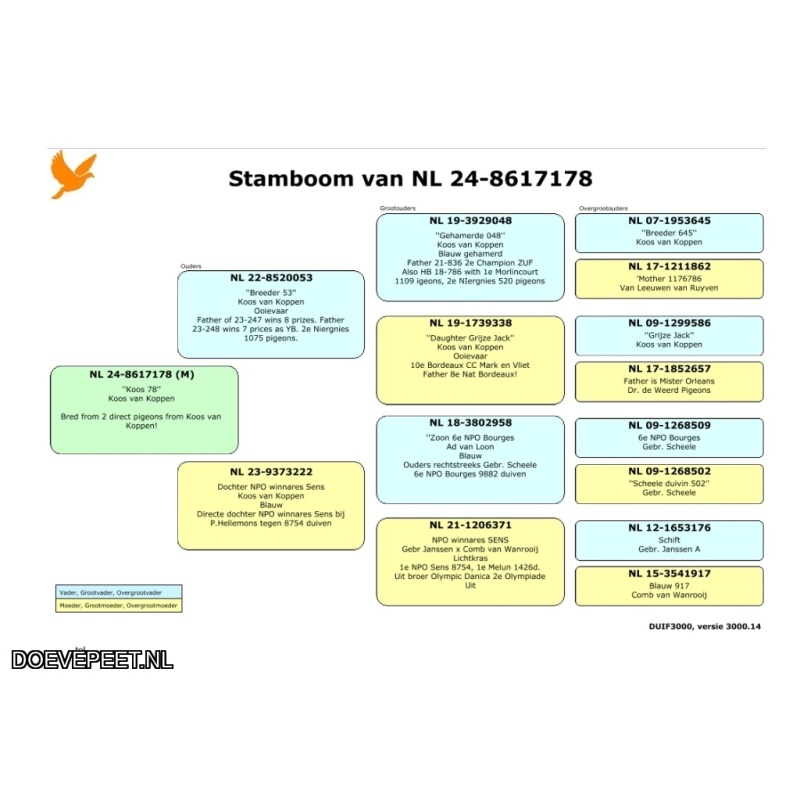 JvdR Koop 12 NL24-178 Duivin