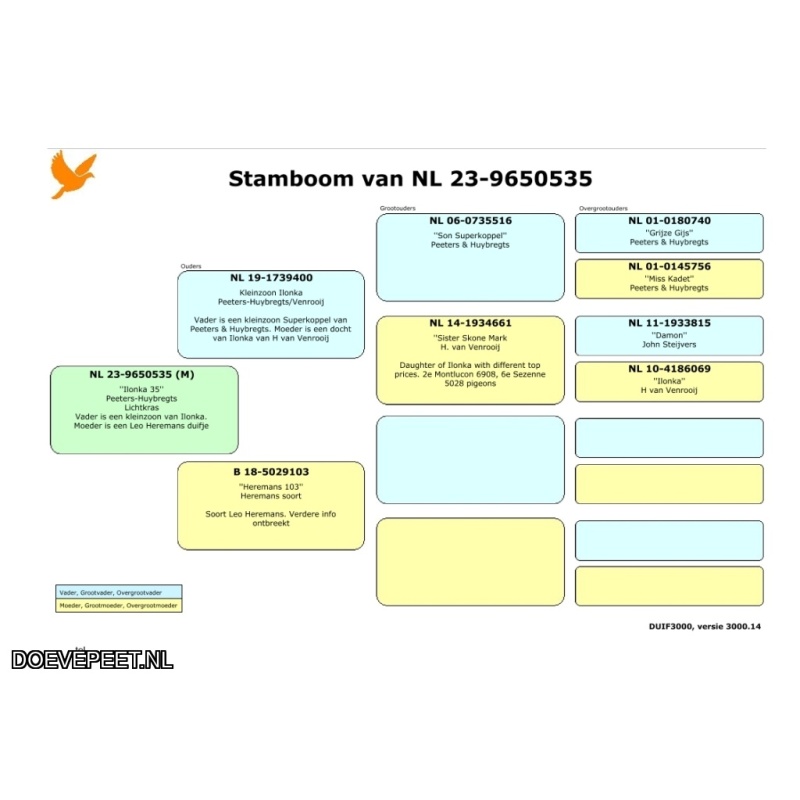 JvdR Koop 13 NL23-535 Duivin