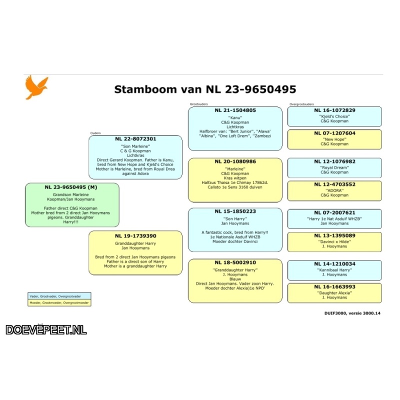 JvdR Koop 19 NL23-495 Duivin