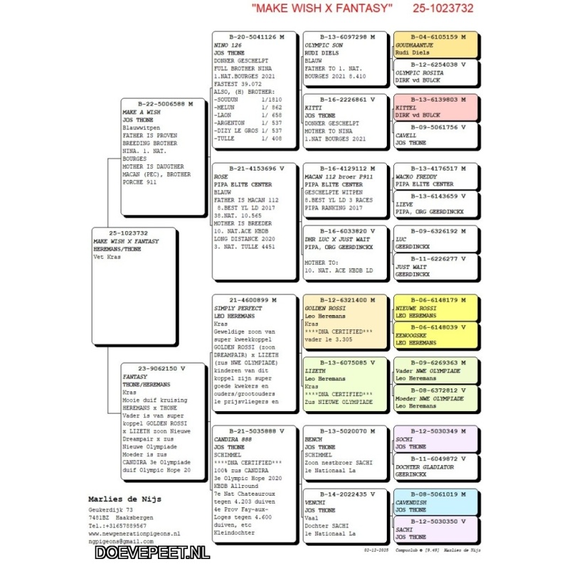 NG LOT 2 Thone, Leo Heremans en Goed Grijs