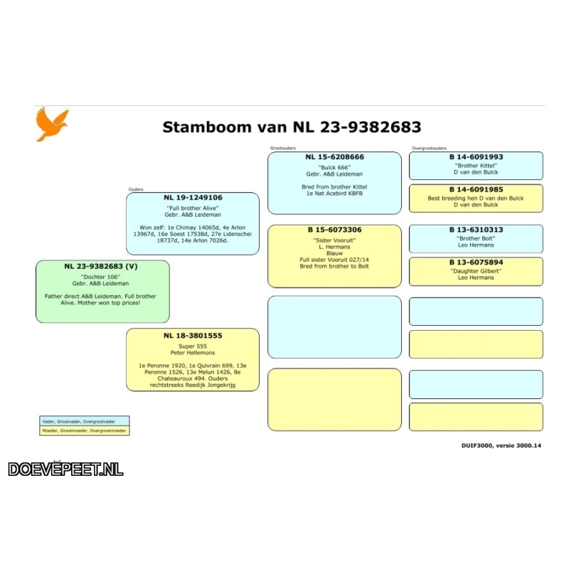 JvdR Koop 2: NL23-693 Duivin