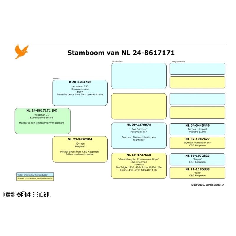 JvdR Koop 25 NL24-171 Duivin