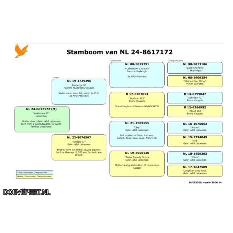 JvdR Koop 27 NL24-172 Duivin