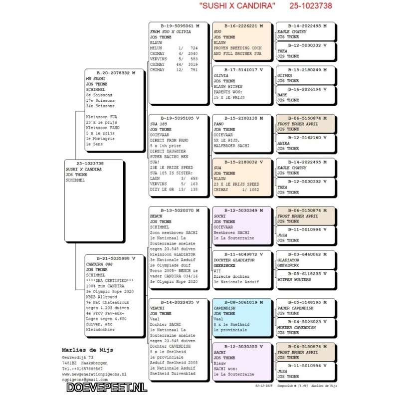 NG LOT 3 - Sushi x Candira 100% Jos Thone