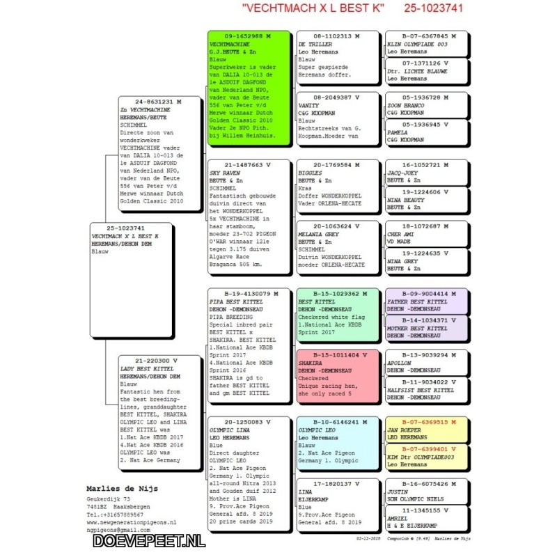NG LOT 4 – Uit zoon Vechtmachine x Lady Best kittel