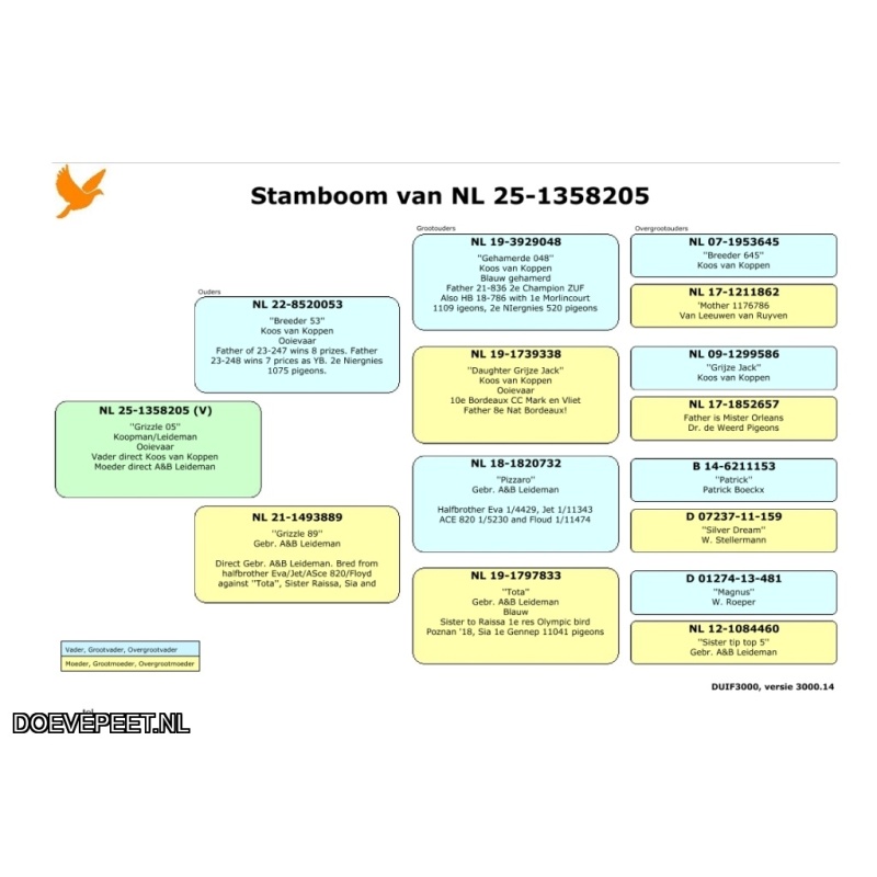 JvdR Koop 6 NL25-205 Duivin