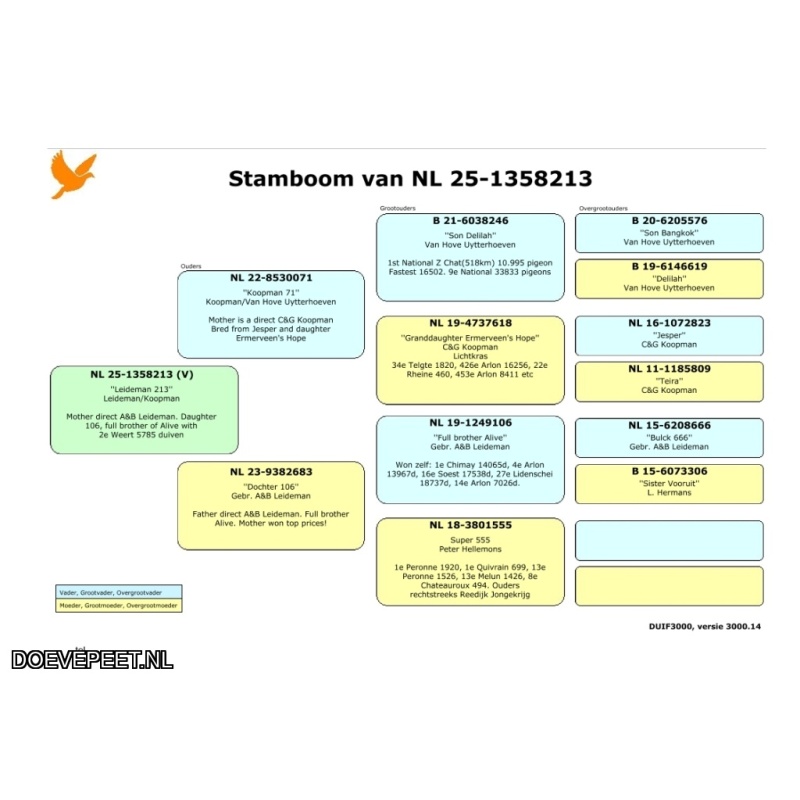 JvdR Koop 7 NL25-213 Duivin