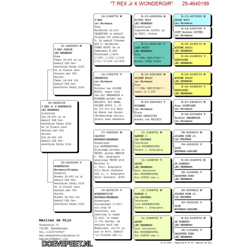 NG LOT 8 -  Zus 1e Asduif OLR Ostwestfalen Derby 2025
