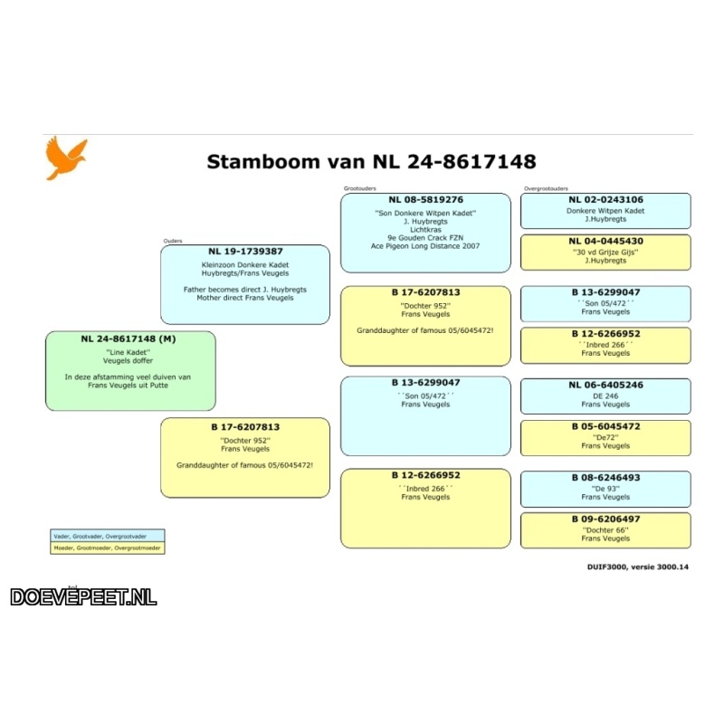 JvdR Koop 9 NL24-148 Duivin