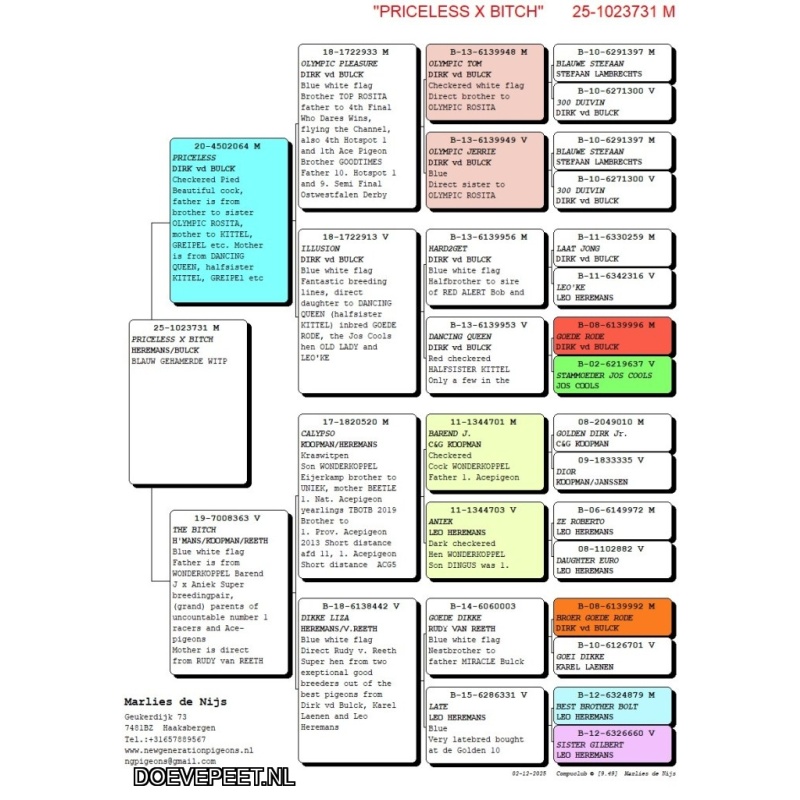 NG LOT 9 uit superkoppel PRICELESS x THE BITCH