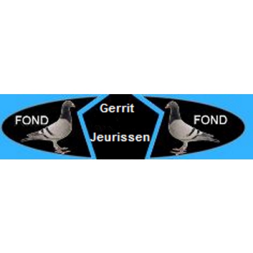 22 Zomer jongen 2025  uit mijn Rechtstreekse  Jan Theelen duiven