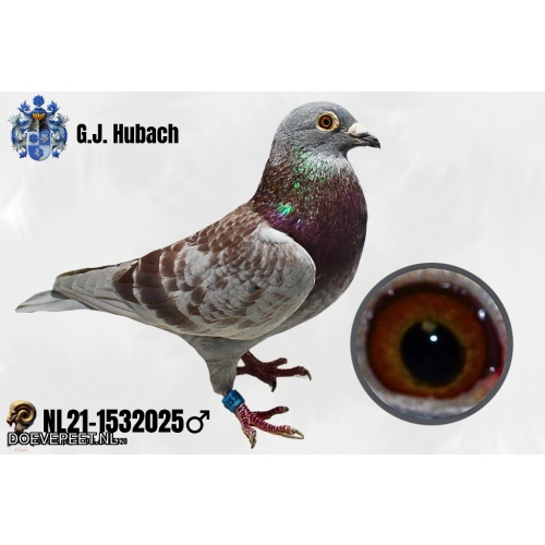 GH Koop 11 NL21-1532025 Doffer