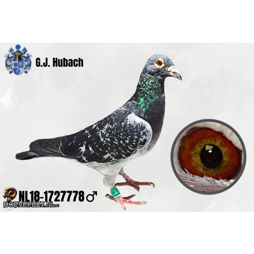 GH Koop 5 NL18-1727778 Doffer