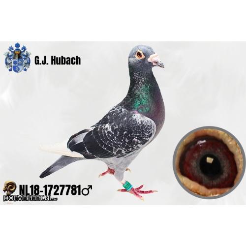 GH Koop 6 NL18-1727781 Doffer