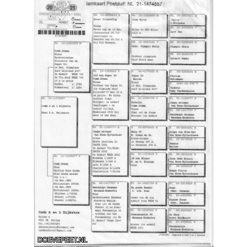 JvdR Koop 3 NL21-557 duivin