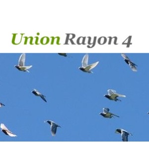 Bonnenverkoop Union Rayon 4