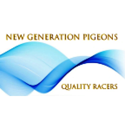 10 duiven New Generation Pigeons - Marlies de Nijs