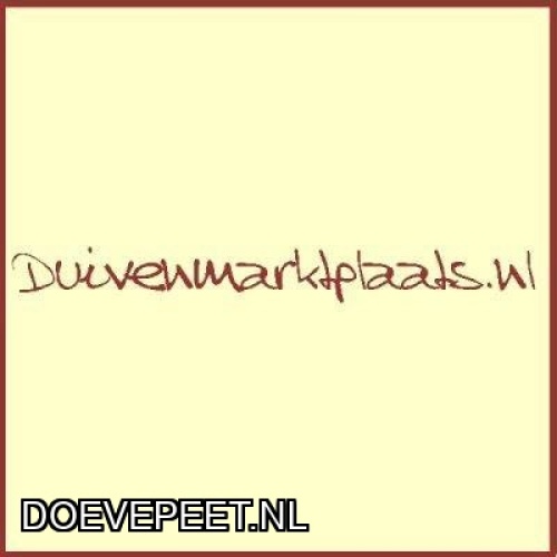 DMP Bon 23 Robin vd Berg – Ijsselmuiden -
