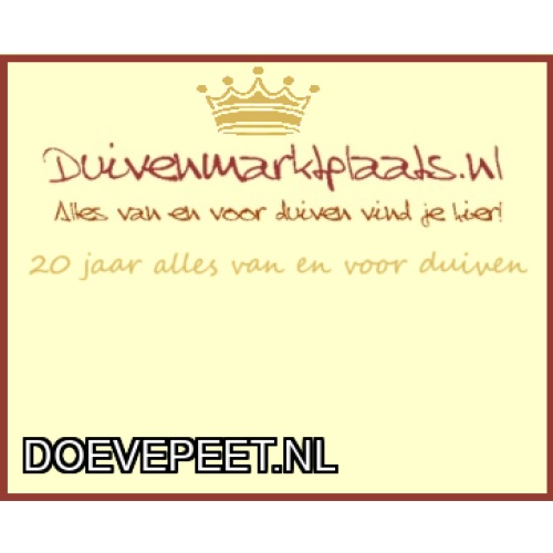 DMP Bon 11 Roger Debusschere - Lokeren 2/4 -  zomerjong 2026 mei