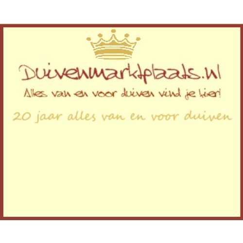 DMP Veiling tbv Duivenmarktplaats.nl 2026