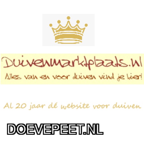 DMP Bon 8 Ronald Traas – Lewedorp – Laat jong