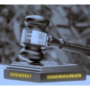 Tentoonstelling en Bonnenverkoop PV Poortugaal 2025