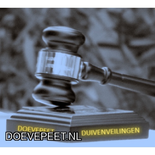 CCdK Bon 3 Ad Dekkers Luyksgestel koppel jonge duiven 2026