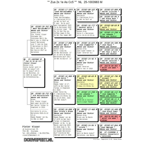 0632 Koop 1 Pieter Visser, Enschede schenkt een zomer jong van 2025
