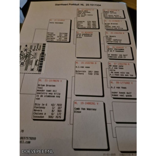 0632 Koop 21 Jacky Basseman, Enschede schenkt een laat jong 2025