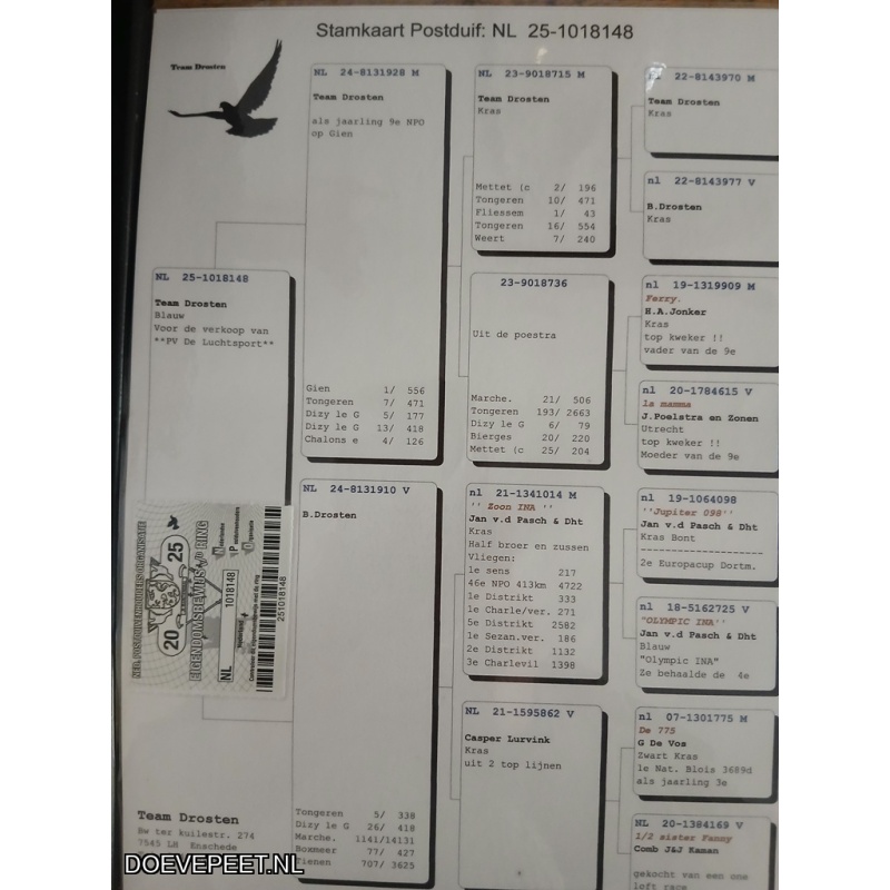 0632 Koop 5 Team Drosten, Enschede schenken een duif