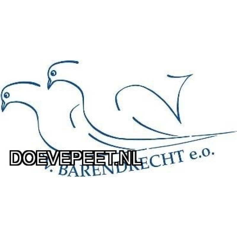 1602 Bon 1 Arie van Gameren  Jonge duif 2026.